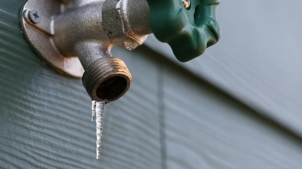 Best Clogged Drain Plumber  in East Williston, NY